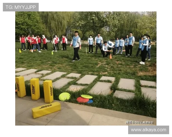 成都飞盘队逆袭之旅极限运动嘉年华的精彩瞬间与奋斗故事