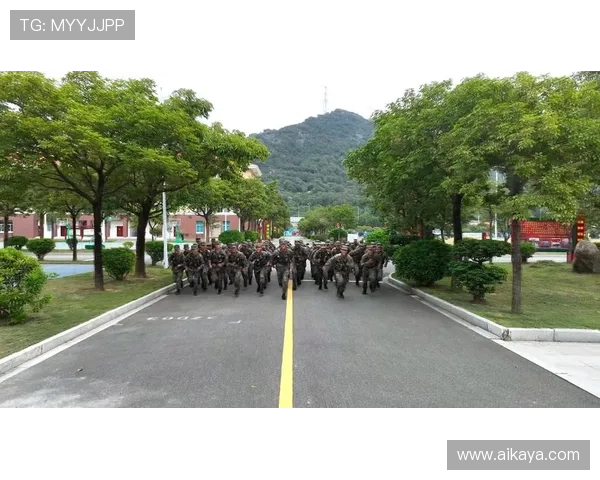 杭州乒乓球队转型纪实：从传统到现代的奋斗与蜕变之路